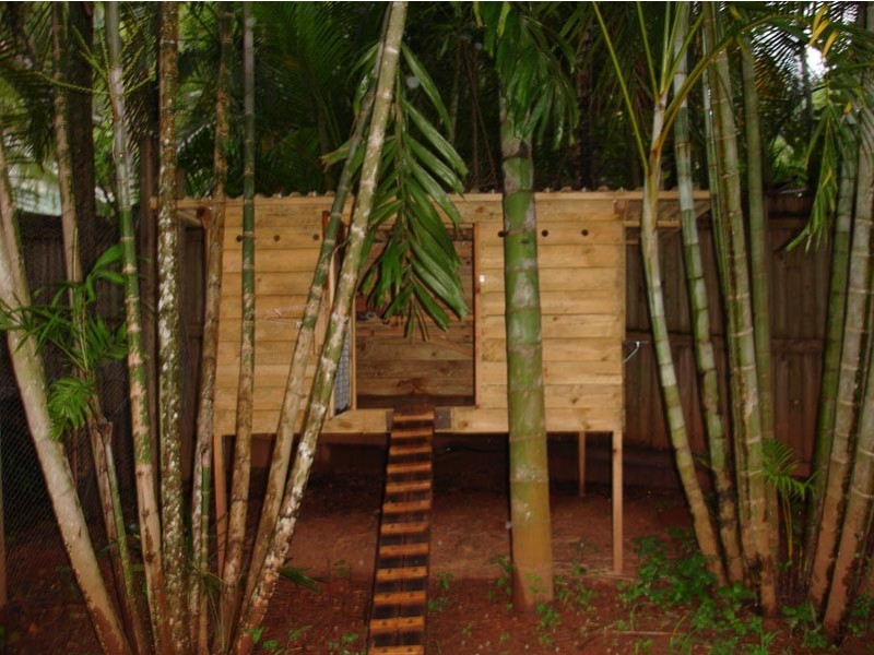 6 Barellan Close, Caravonica QLD 4878