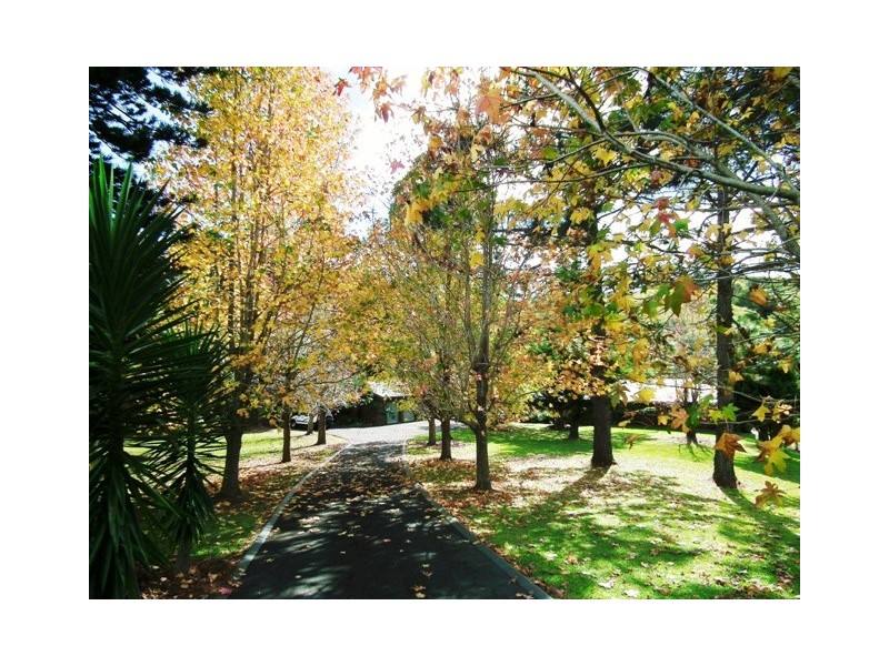 358 Cobaki Road, Cobaki NSW 2486