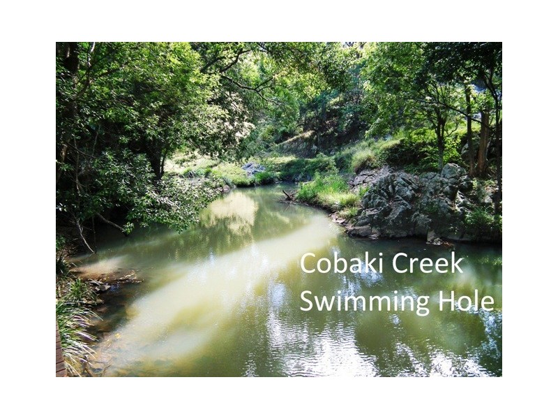 358 Cobaki Road, Cobaki NSW 2486