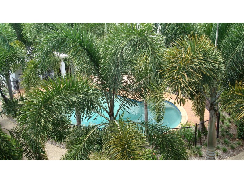 22/42 Warburton Street, North Ward QLD 4810