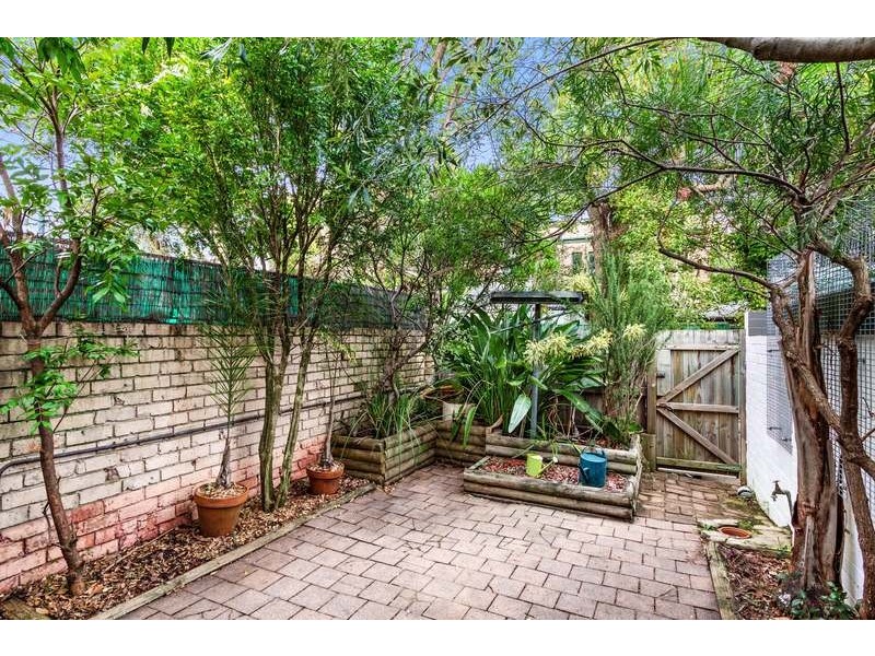 4 Albermarle Street, Newtown NSW 2042