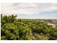 47/3 Hornsey Street, Rozelle NSW 2039