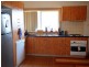 102 Frances Street, South Wentworthville NSW 2145