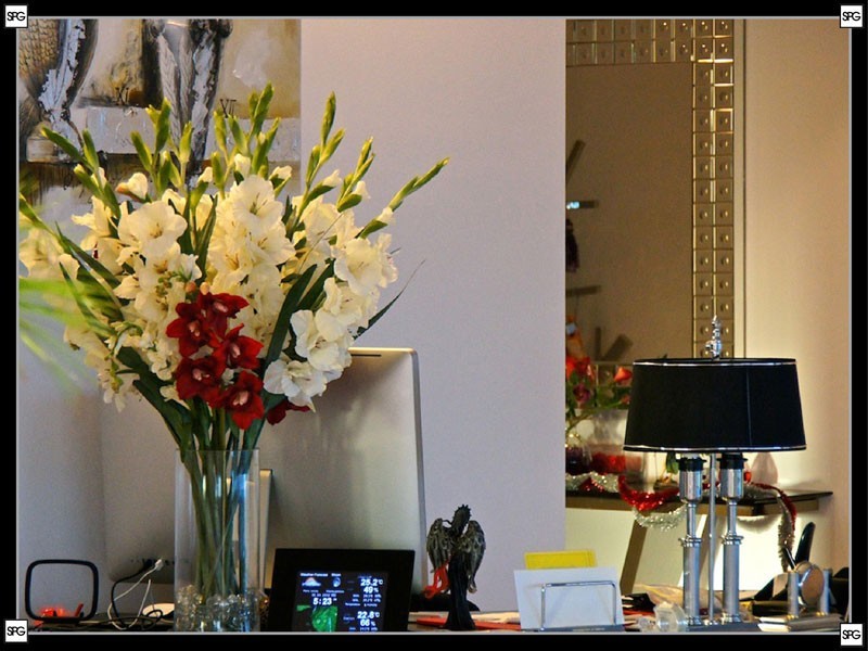 4404/71 Eagle Street, Brisbane QLD 4000