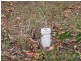 Bauple QLD 4650