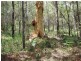 Bauple QLD 4650