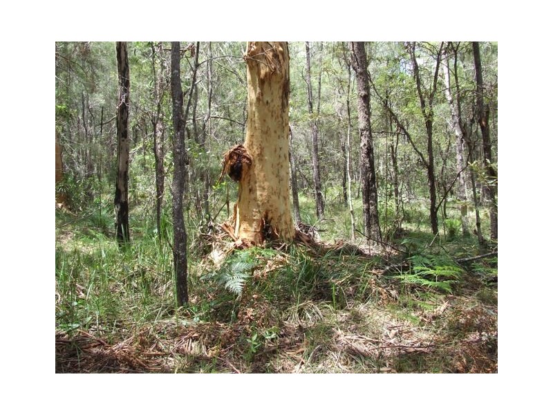 Bauple QLD 4650