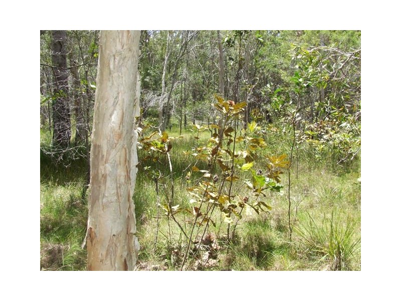 Bauple QLD 4650