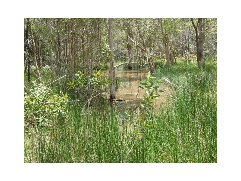 Bauple QLD 4650