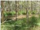 Bauple QLD 4650