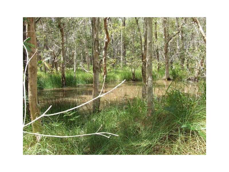 Bauple QLD 4650