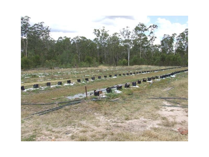 Gundiah QLD 4650