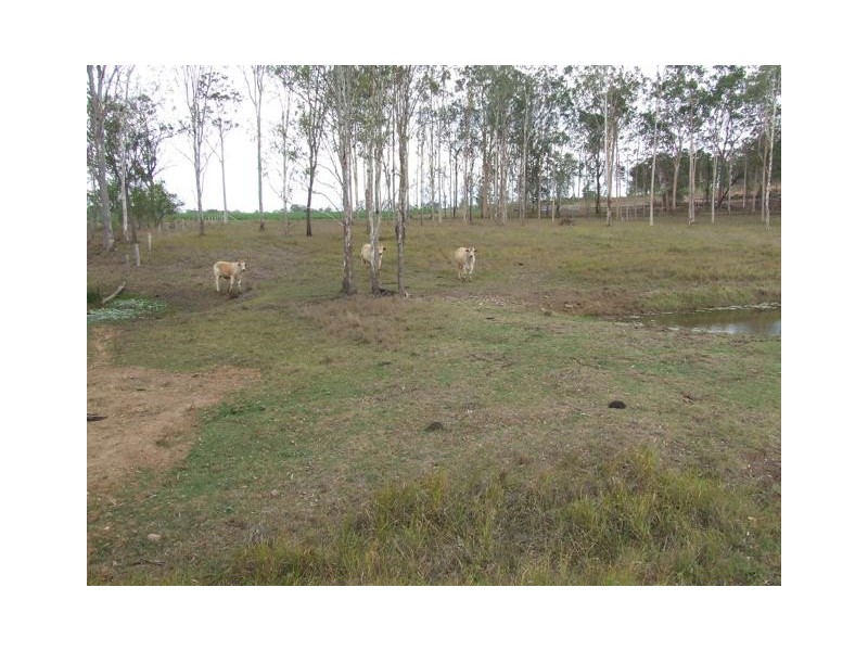 364 Redbank Road, Tiaro QLD 4650