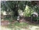 Bauple QLD 4650