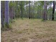Lot 41 Pettit Road, Bauple Forest QLD 4650