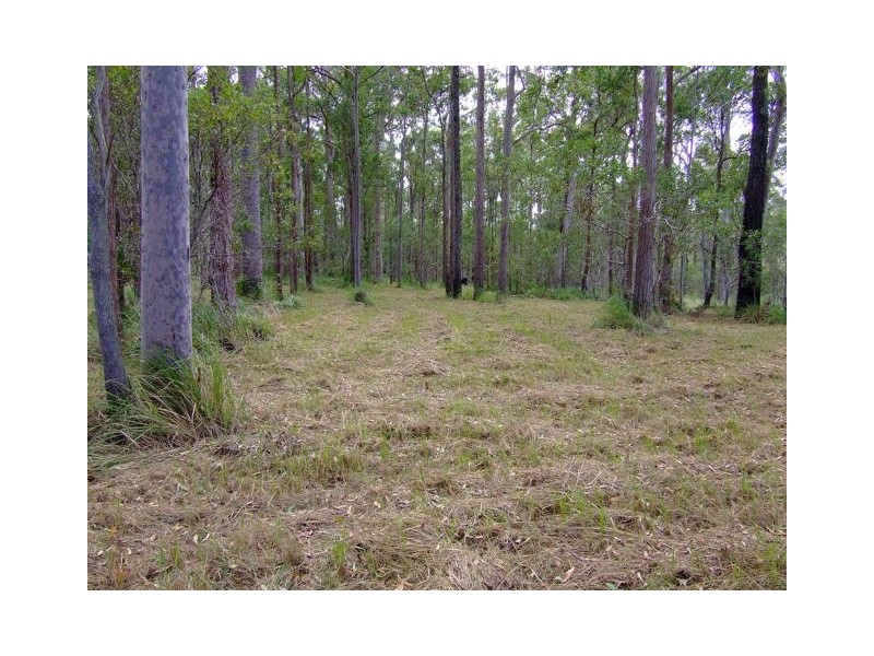 Lot 41 Pettit Road, Bauple Forest QLD 4650