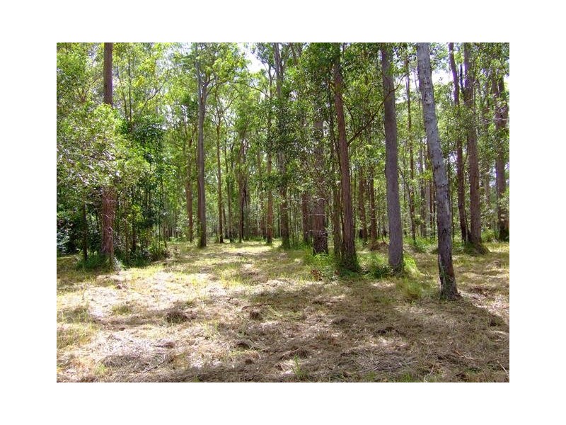 Lot 41 Pettit Road, Bauple Forest QLD 4650