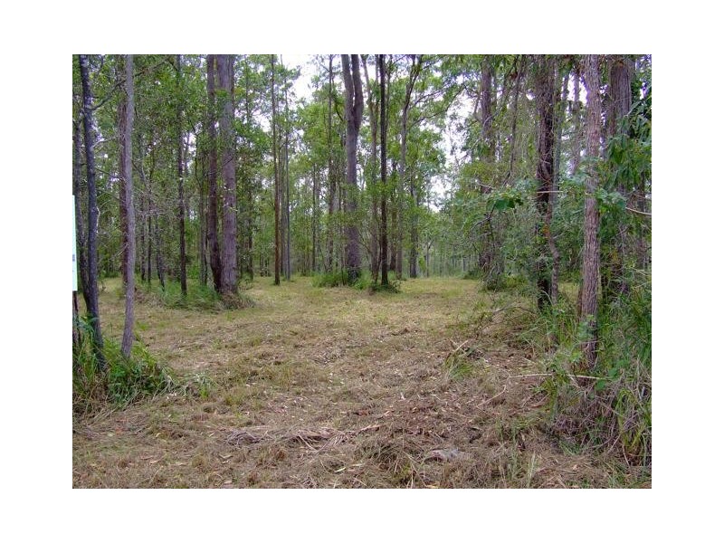 Lot 41 Pettit Road, Bauple Forest QLD 4650