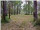 Lot 41 Pettit Road, Bauple Forest QLD 4650