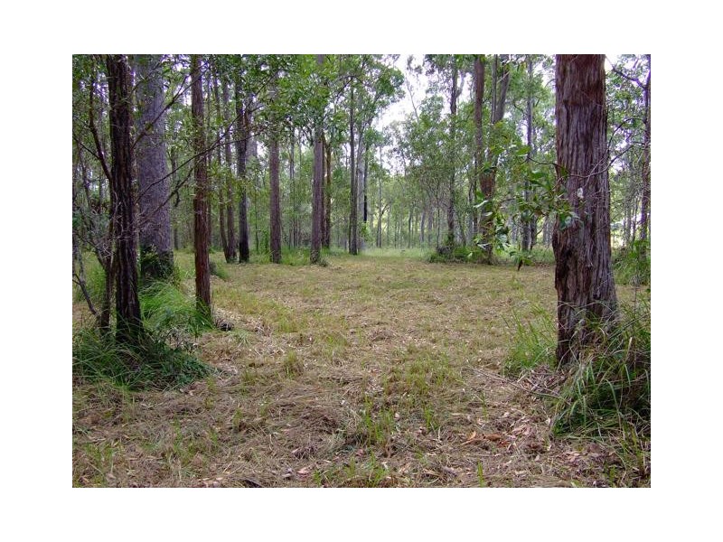 Lot 41 Pettit Road, Bauple Forest QLD 4650