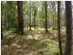 Lot 41 Pettit Road, Bauple Forest QLD 4650
