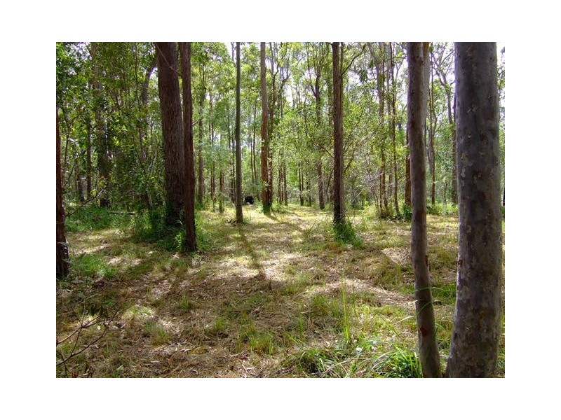 Lot 41 Pettit Road, Bauple Forest QLD 4650