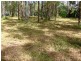Lot 41 Pettit Road, Bauple Forest QLD 4650