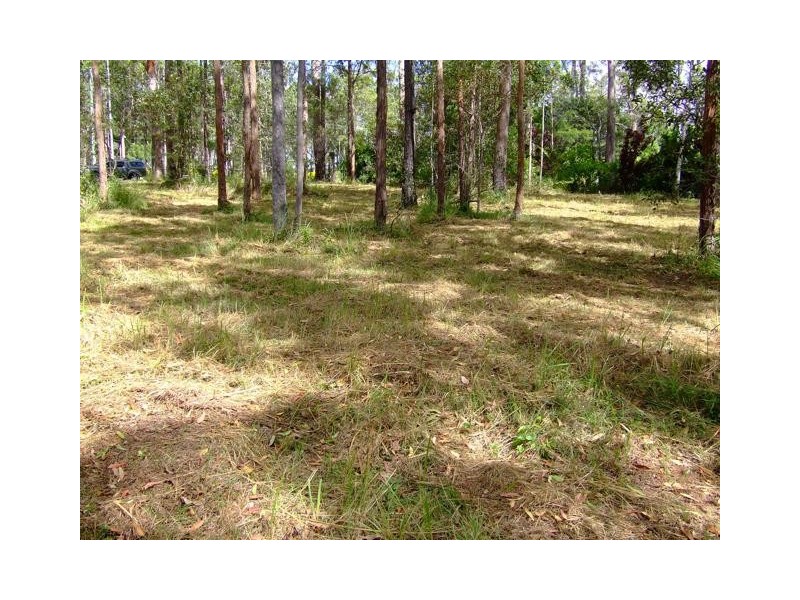 Lot 41 Pettit Road, Bauple Forest QLD 4650