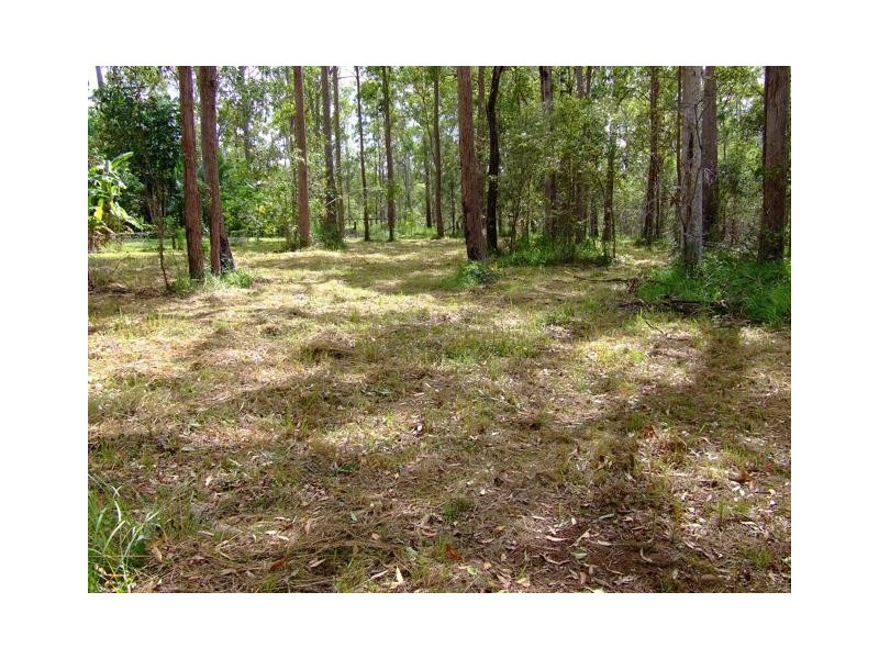 Lot 41 Pettit Road, Bauple Forest QLD 4650