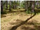 Lot 41 Pettit Road, Bauple Forest QLD 4650