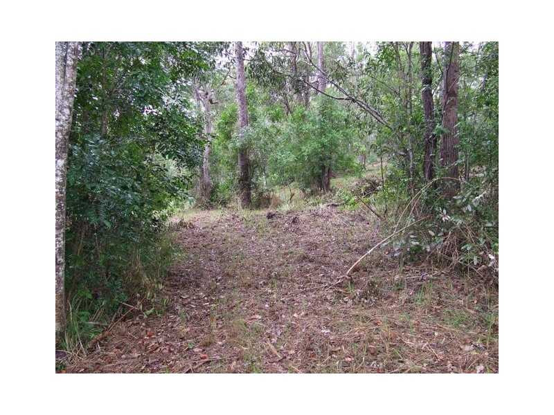 30 Pettit Road, Bauple Forest QLD 4650