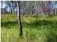 Lot 11 Old Gympie Road, Gundiah QLD 4650