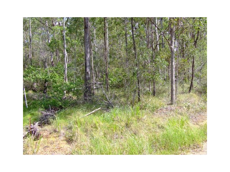 Lot 337 Deephouse Road, Bauple Forest QLD 4650