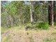 Lot 337 Deephouse Road, Bauple Forest QLD 4650