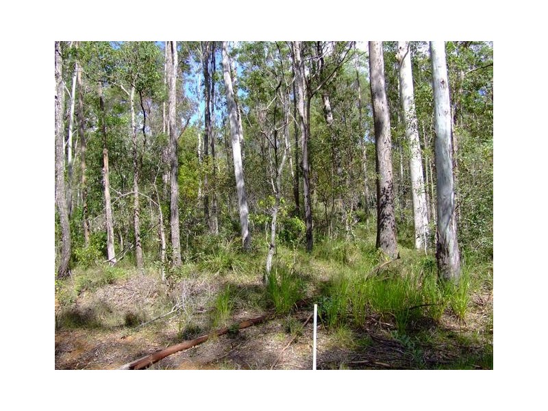 Lot 337 Deephouse Road, Bauple Forest QLD 4650