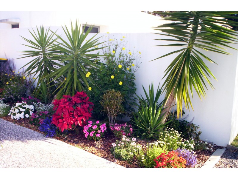 10 Albany Street, Sippy Downs QLD 4556