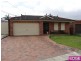 Punchbowl NSW 2196