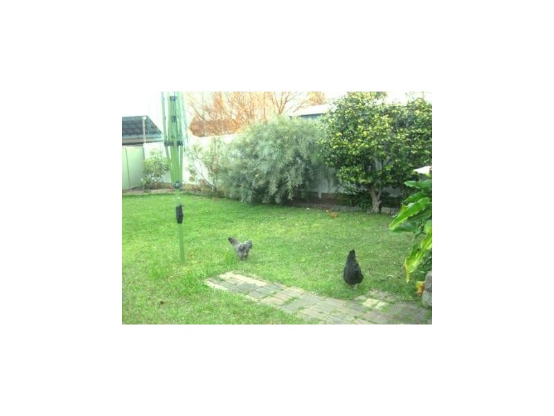 1 Graham Road, Hamilton NSW 2303