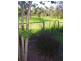 Godwin Beach QLD 4511