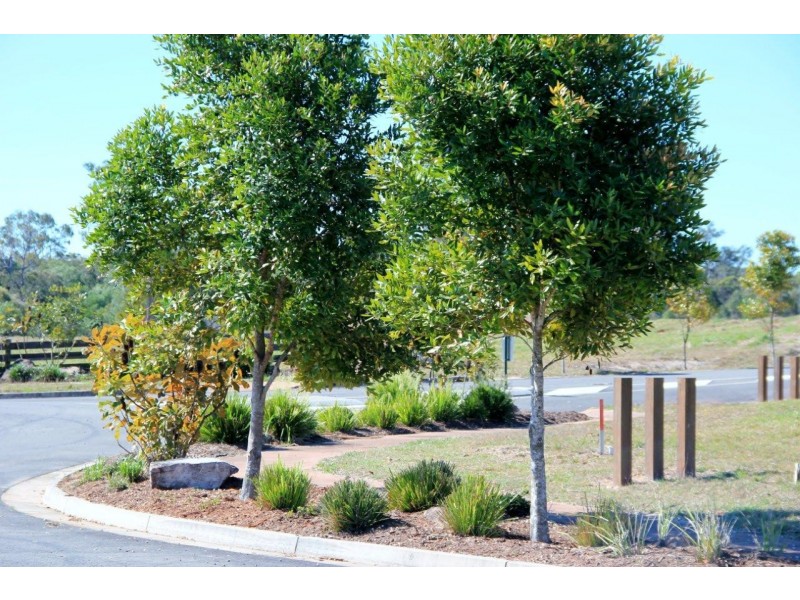 Lot 89 Timber Reserve Drive, Maryborough QLD 4650