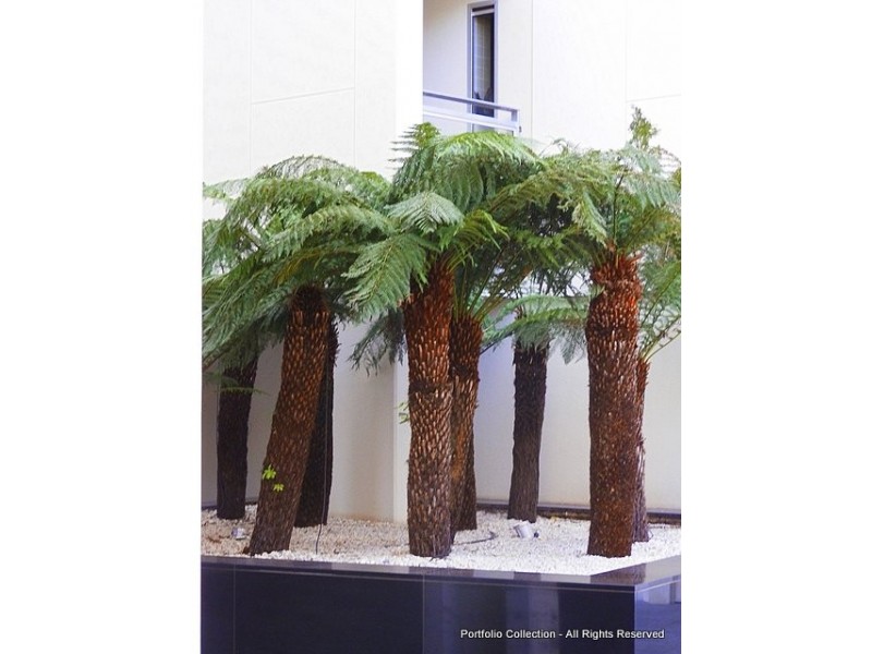 107/155 Northbourne Avenue, Turner ACT 2612