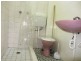 382 Moore Park Road, Paddington NSW 2021