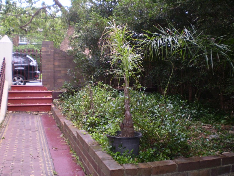 21 Moore Park Road, Centennial Park NSW 2021