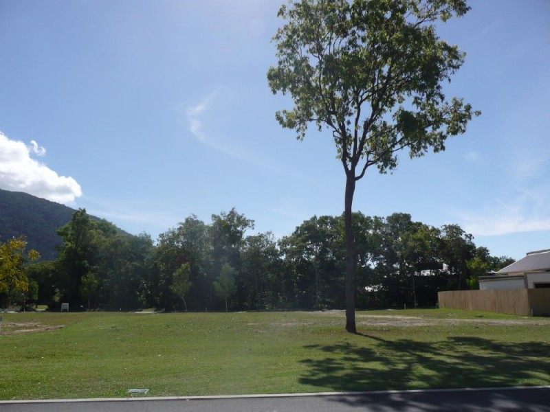 14 Muller Street, Palm Cove QLD 4879