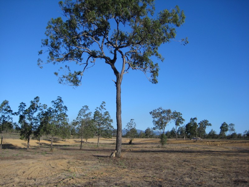 0 Country Road Estate, Mareeba QLD 4880