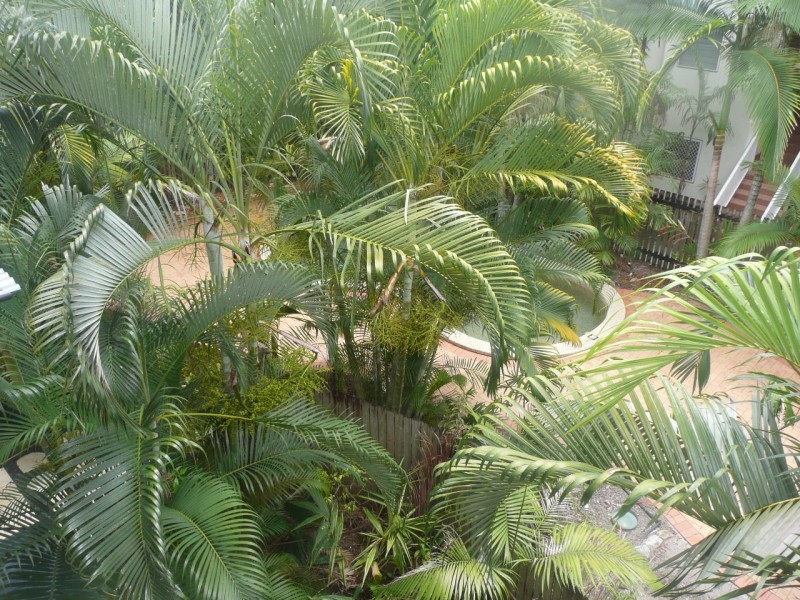 18/61 Minnie Street, Parramatta Park QLD 4870