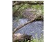 Rathdowney QLD 4287