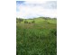 Running Creek QLD 4287