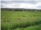 Running Creek QLD 4287