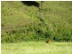 Running Creek QLD 4287
